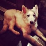 InstagramTroian-00497.jpg