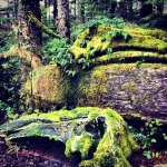 InstagramTroian-00527.jpg