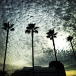 InstagramTroian-00538.jpg