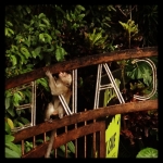 Filename=InstagramTroian-00607.jpg
Filesize=100KiB
Dimensions=612x612
Date added=Jun 15, 2014 InstagramTroian-00607.jpg