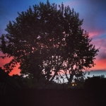 InstagramTroian-00654.jpg