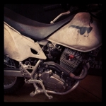 InstagramTroian-00679.jpg