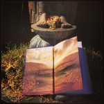 Filename=InstagramTroian-00731.jpg
Filesize=123KiB
Dimensions=612x612
Date added=Jun 15, 2014 InstagramTroian-00731.jpg