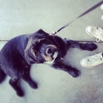 InstagramTroian-0089.jpg