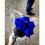 Filename=InstagramTroian-00995.jpg
Filesize=178KiB
Dimensions=612x612
Date added=Jun 15, 2014 InstagramTroian-00995.jpg