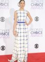 Filename=PCA2016-090.jpg
Filesize=272KiB
Dimensions=1365x2048
Date added=Jan 08, 2016 PCA2016-090.jpg