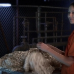 Filename=Pretty_Little_Liars_S05E25_Mini_720p_WEB-DL_Dual_RMZ-Dinho_1758.jpg
Filesize=96KiB
Dimensions=1280x718
Date added=Mar 02, 2020 Pretty_Little_Liars_S05E25_Mini_720p_WEB-DL_Dual_RMZ-Dinho_1758.jpg