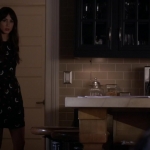 Pretty_Little_Liars_S06E13_The_Gloves_Are_On_720p_WEB-DL_DD5_1_H_264-NTb_1716.jpg