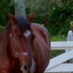 Filename=Pretty_Little_Liars_S07E20E21_WEB-DL_720p_DUAL_WWW_COMANDOTORRENTS_COM_3986.jpg
Filesize=93KiB
Dimensions=1280x718
Date added=Nov 19, 2021 Pretty_Little_Liars_S07E20E21_WEB-DL_720p_DUAL_WWW_COMANDOTORRENTS_COM_3986.jpg