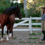 Filename=Pretty_Little_Liars_S07E20E21_WEB-DL_720p_DUAL_WWW_COMANDOTORRENTS_COM_4014.jpg
Filesize=216KiB
Dimensions=1280x718
Date added=Nov 19, 2021 Pretty_Little_Liars_S07E20E21_WEB-DL_720p_DUAL_WWW_COMANDOTORRENTS_COM_4014.jpg