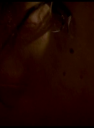 martyrscanshd_282129.png