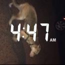 Filename=snapchatroian-0034.jpg
Filesize=71KiB
Dimensions=540x960
Date added=Aug 08, 2016 snapchatroian-0034.jpg