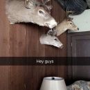 snapchatroian-0177.jpg