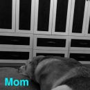 Filename=snapchatroian-0257.jpg
Filesize=109KiB
Dimensions=540x960
Date added=Aug 08, 2016 snapchatroian-0257.jpg
