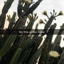 Filename=snapchatroian-0269.jpg
Filesize=127KiB
Dimensions=607x1080
Date added=Aug 08, 2016 snapchatroian-0269.jpg