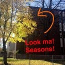 Filename=snapchatroian-0346.jpg
Filesize=964KiB
Dimensions=1215x2160
Date added=Aug 02, 2017 snapchatroian-0346.jpg