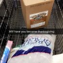 Filename=snapchatroian-0350.jpg
Filesize=517KiB
Dimensions=1215x2160
Date added=Aug 02, 2017 snapchatroian-0350.jpg