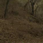 vlcsnap-2014-02-20-18h11m03s228.png